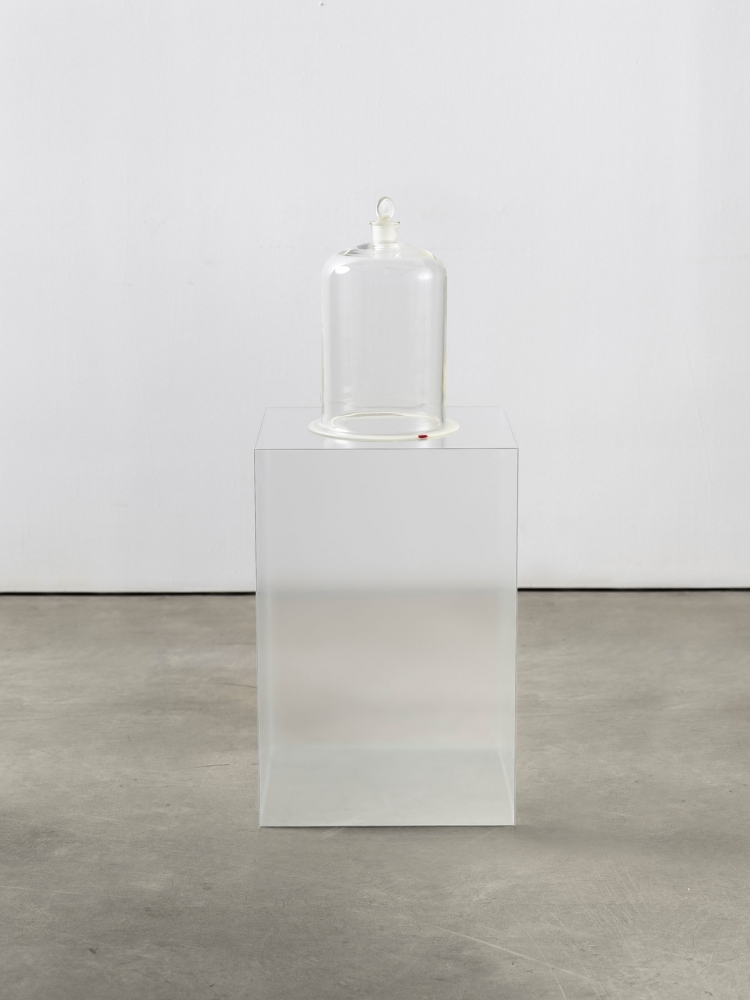 Lucia Nogueira
Slip, 1992
Glass bell jar, frosted glass, wax
37 1/8 x 18 1/4 x 16 1/8 inches
(94 x 46.5 x 41 cm)