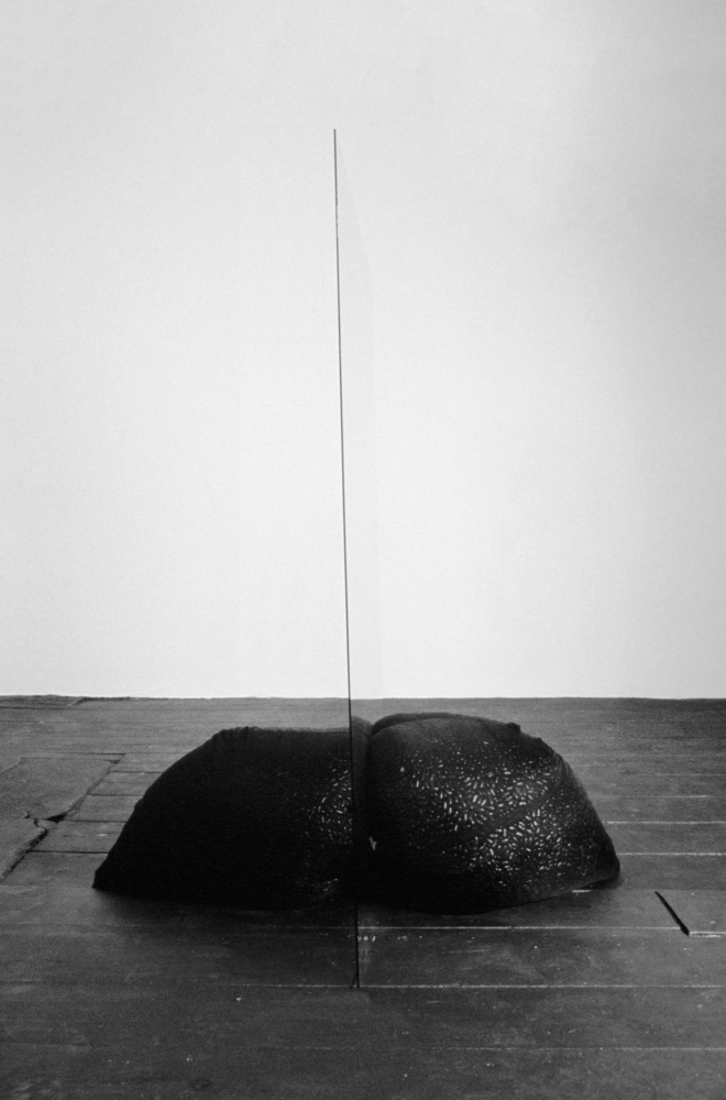Lucia Nogueira Untitled, 1988