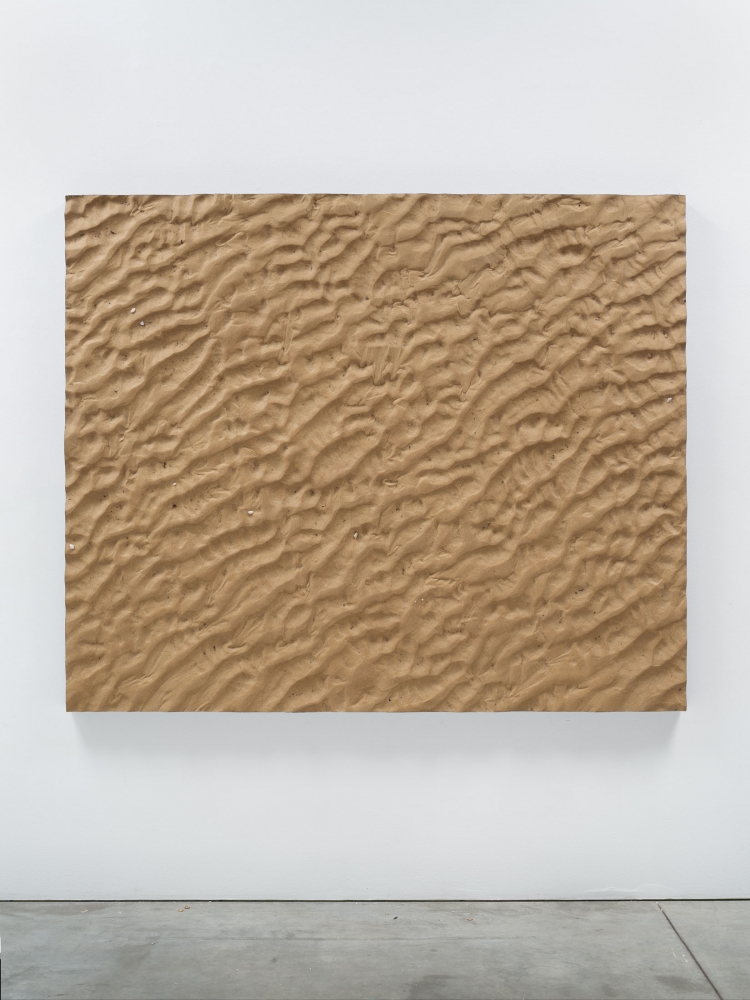 Boyle Family
Tidal Sand Study, Camber, 2003-2005
Mixed media, resin, fibreglass
59 1/8 x 70 7/8 inches
(150.2 x 180 cm)