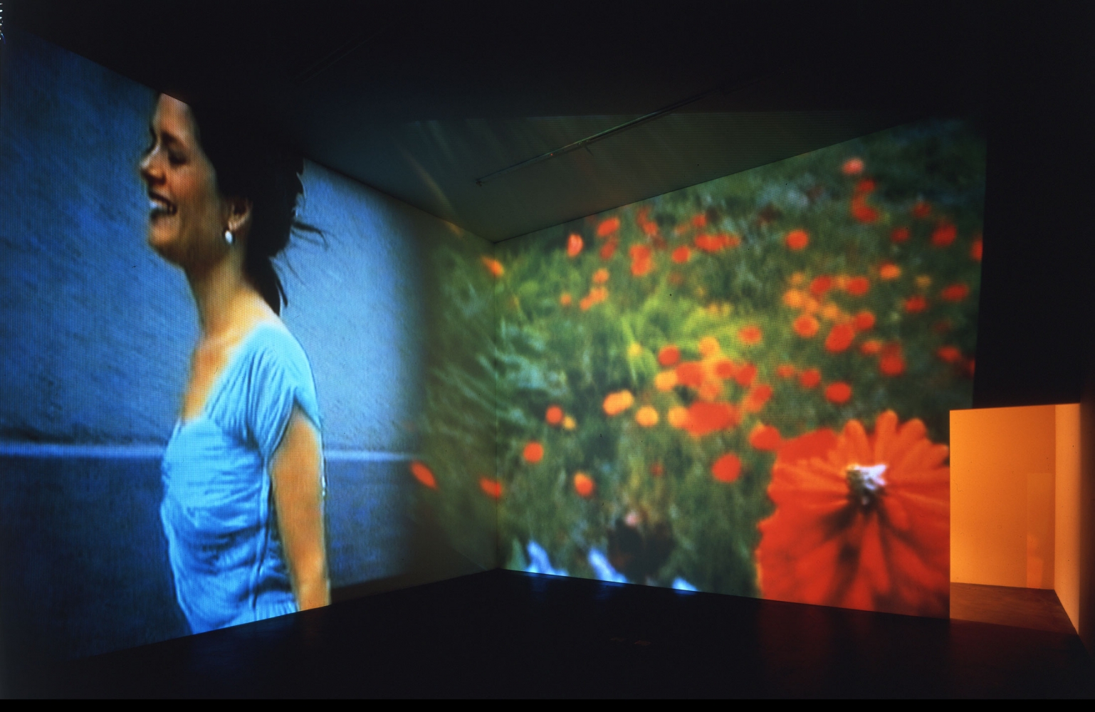 Pipilotti Rist
Ever Is Over All, 1997
Two-channel video, sound
Duration: 8 minutes, 25 seconds