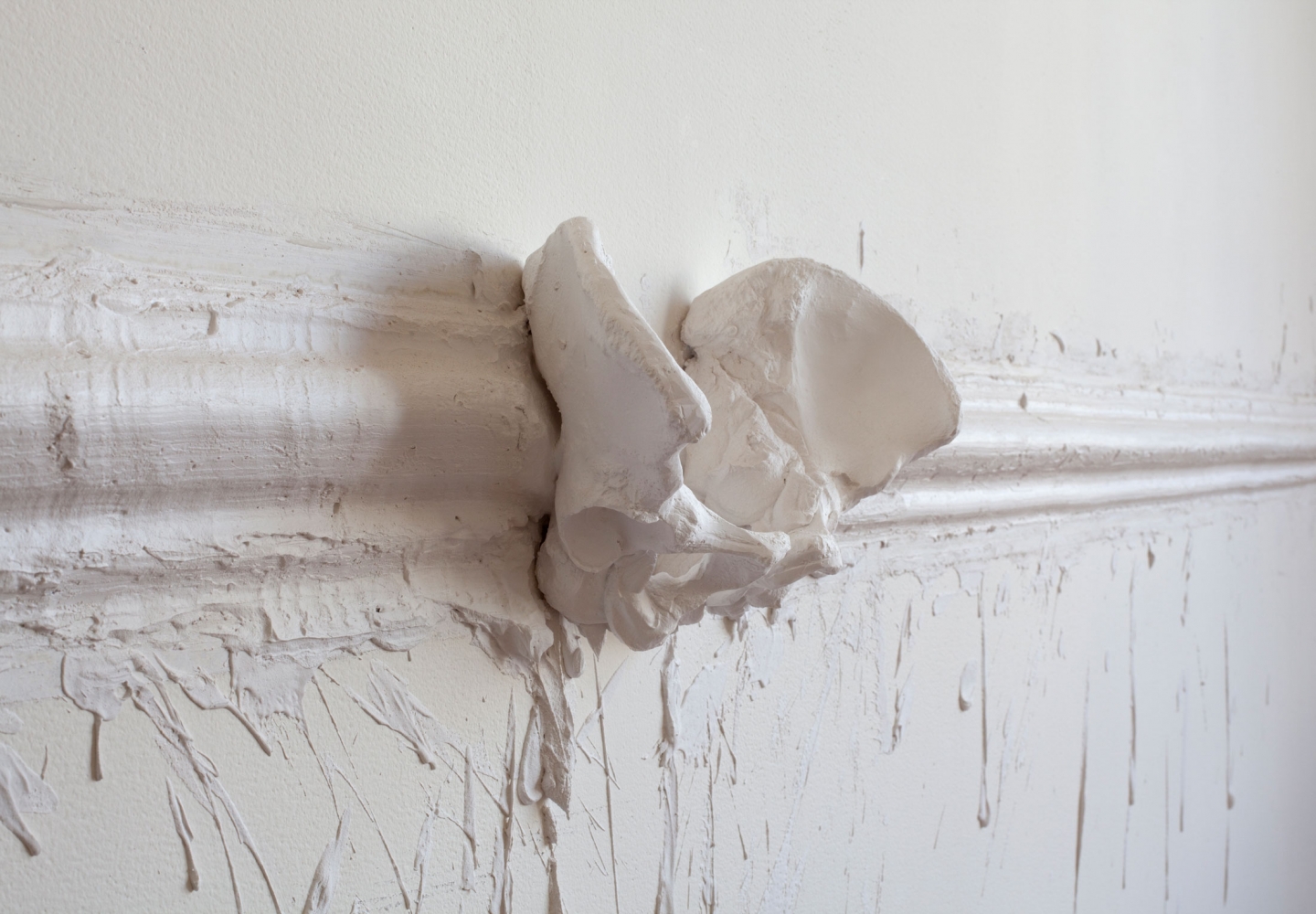 Janine Antoni
Crowned, 2013
Plaster molding with plaster pelvic bones
Dimensions variable, site-transferrable installation
Edition of 5 and 1 artist&amp;#39;s proof&amp;nbsp;
Installation view Anthony Meier Fine Arts, San Francisco, 2015