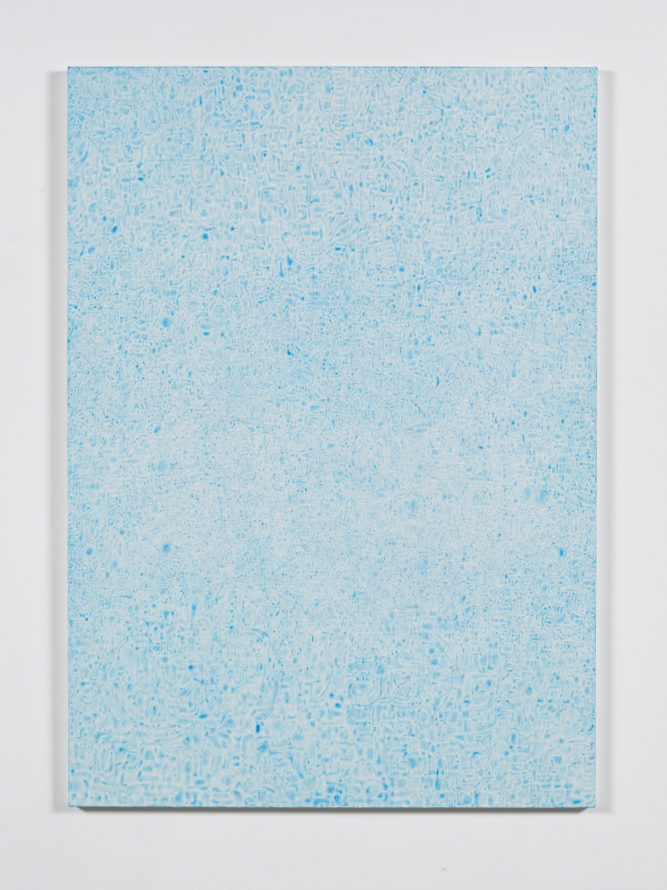 Tomm El-Saieh
Labadee, 2020
Acrylic on canvas
84 x 60 inches
(213.4 x 152.4 cm)