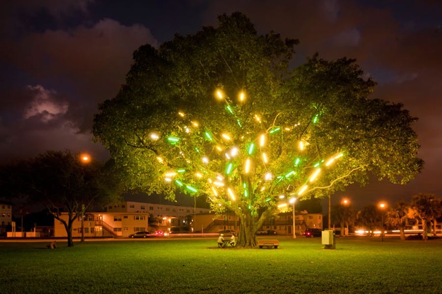 Electric Tree&nbsp;(1998&ndash;2001), Mark Handforth.&nbsp; &nbsp; &nbsp;Installation view at Griffing Park, Miami