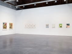 Prints and Editions  Installation view  January 25 – February 23, 2019  Luhring Augustine, New York  Pictured from left: Philip Taaffe, Christopher Wool, Sanya Kantarovsky