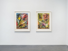 Prints and Editions  Installation view  January 25 – February 23, 2019  Luhring Augustine, New York  Pictured: Philip Taaffe