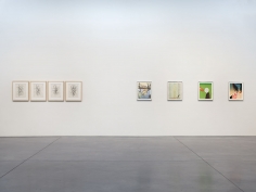 Prints and Editions  Installation view  January 25 – February 23, 2019  Luhring Augustine, New York  Pictured from left: Christopher Wool, Sanya Kantarovsky