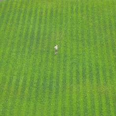Tom Friedman, Untitled (kite), 2012