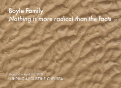 Boyle Family "Nothing is more radical than the facts" at Luhring Augustine Chelsea