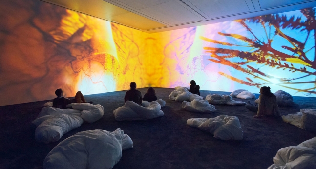 Pipilotti Rist
Worry Will Vanish Horizon (from the Worry Work Family), 2014
Two-channel video and sound installation, color, with carpet and white duvets
Duration: 10 minutes, 25 seconds
Dimensions variable
Photo: Raimund Zakowski