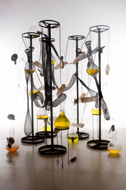 Tunga
Cooking Crystals, 2006-2009
Iron, crystal rocks, magnets, steel network,
brown mass, yellow liquid and glasses
Dimensions variable