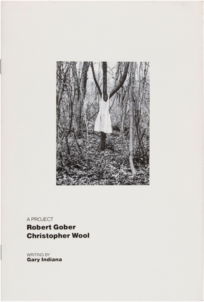 Christopher Wool & Robert Gober: A Project